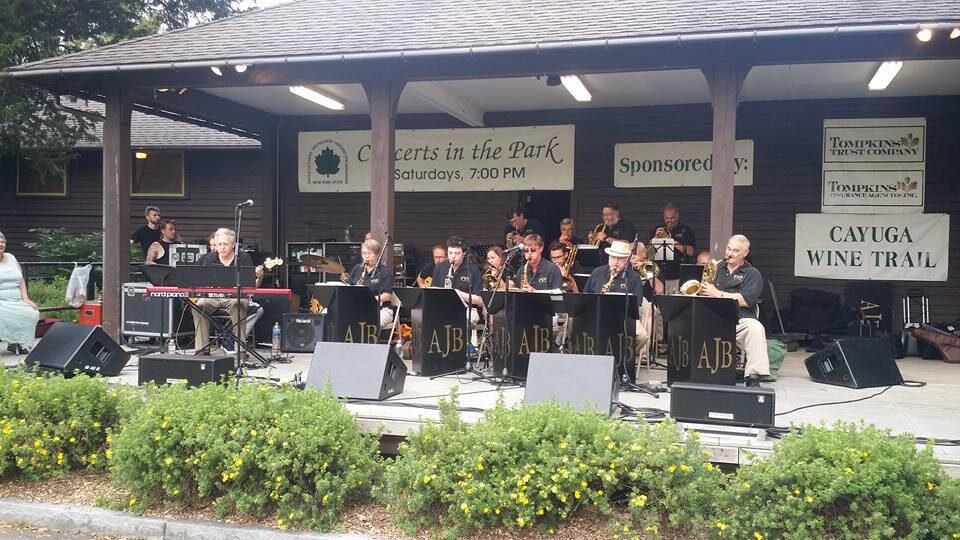 Performing at a 2017 Concert in the Park event at Taughannock Falls State Park.